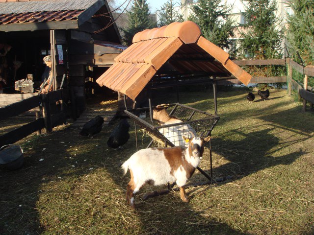 Kerststal0717_640x480
